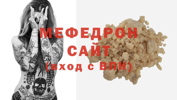 индика Карпинск