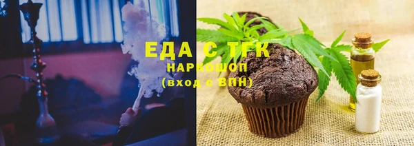 индика Карпинск