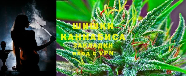 кокс Касимов