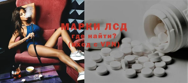 индика Карпинск