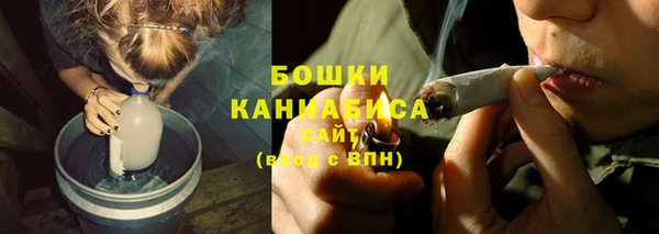 кокс Касимов