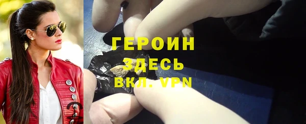 индика Карпинск