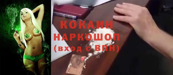 кокс Касимов