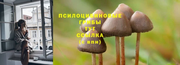 ГАЛЛЮЦИНОГЕННЫЕ ГРИБЫ Карталы