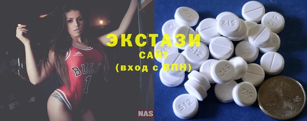 индика Карпинск