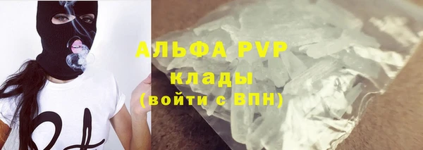 кокс Касимов
