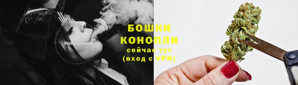 ГАЛЛЮЦИНОГЕННЫЕ ГРИБЫ Карталы