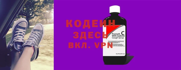 ГАЛЛЮЦИНОГЕННЫЕ ГРИБЫ Карталы