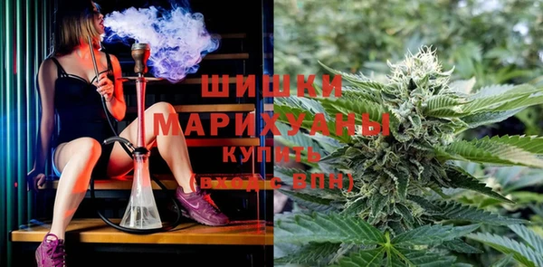 индика Карпинск