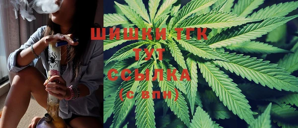 ГАЛЛЮЦИНОГЕННЫЕ ГРИБЫ Карталы