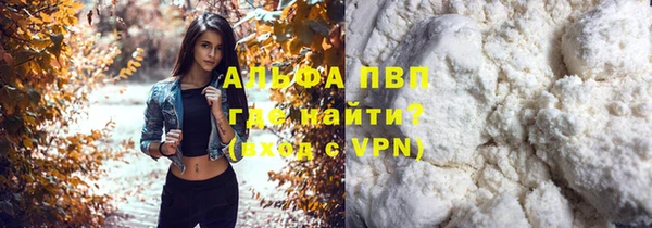 индика Карпинск