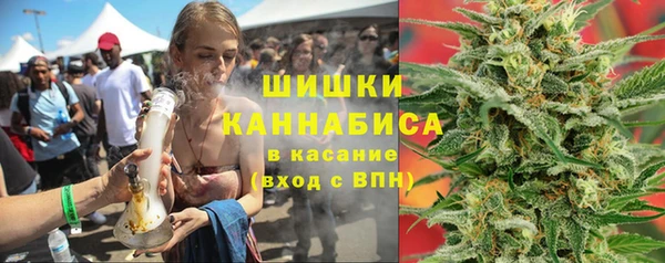 индика Карпинск
