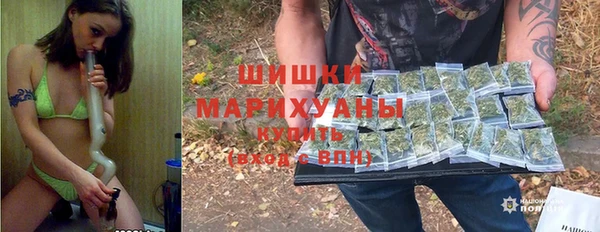 ГАЛЛЮЦИНОГЕННЫЕ ГРИБЫ Карталы