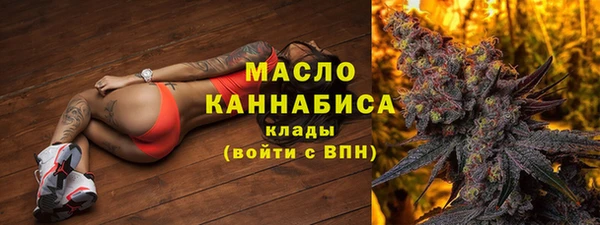 индика Карпинск