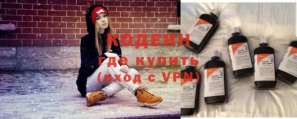 кокс Касимов