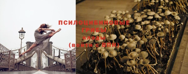 индика Карпинск
