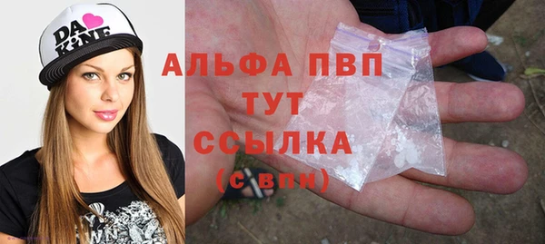 кокс Касимов