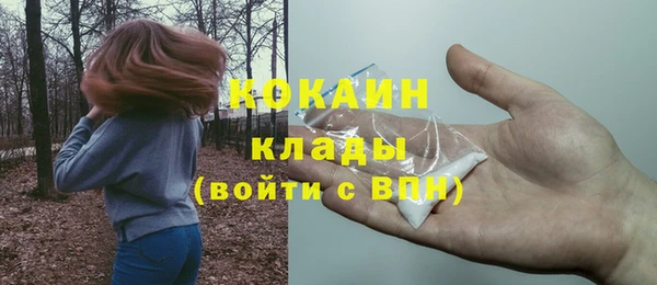 ГАЛЛЮЦИНОГЕННЫЕ ГРИБЫ Карталы