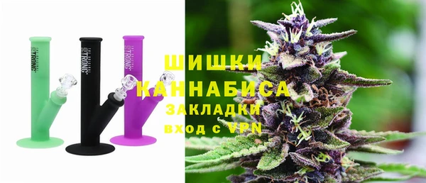 индика Карпинск