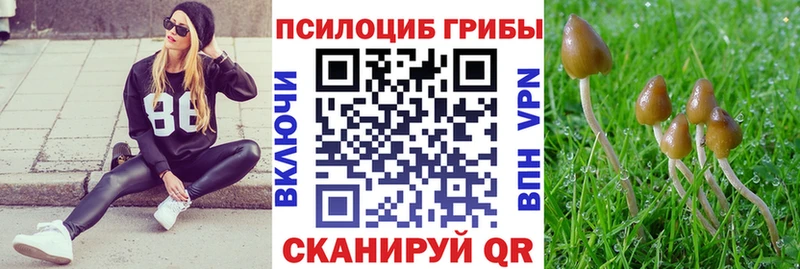 Купить закладки  Буй  Псилоцибиновые грибы мухоморы 